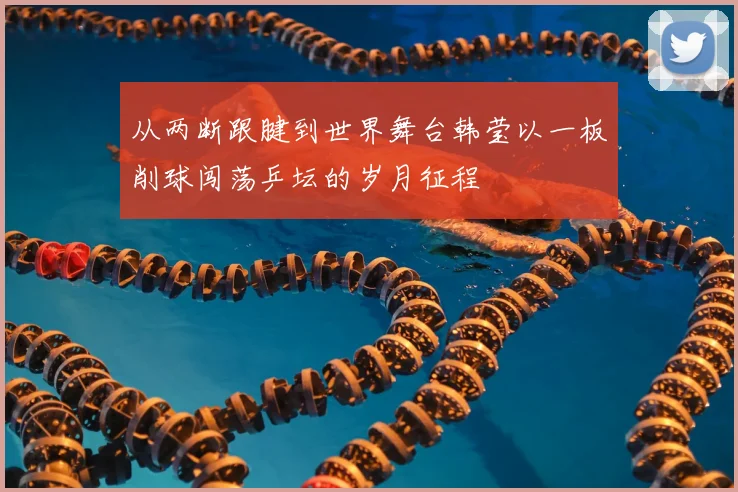 从两断跟腱到世界舞台韩莹以一板削球闯荡乒坛的岁月征程