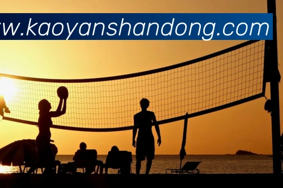 必一运动平台生态图