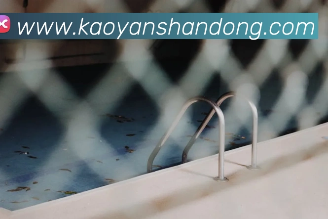 多媒体互动体验